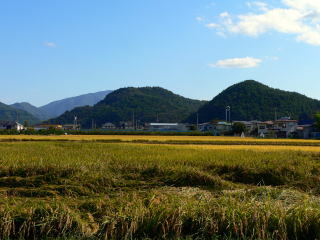 mukai